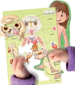 LE CORPS HUMAIN -Magasin De Jouets Intelligent 05fa5db02a8e91780405ea743f00581c162de642 41010179 04