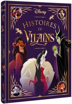LIVRE - HISTOIRES DE VILAINS