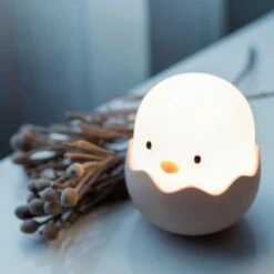 VEILLEUSE LED EGGY EGG -Magasin De Jouets Intelligent 244fc59218aa31a3245d4bd005a0aa33bea91354 38027828 04
