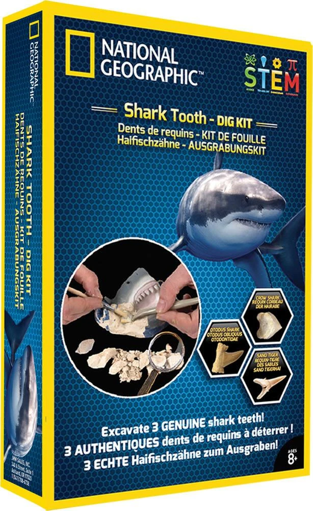 Bandai KIT DENTS DE REQUIN 2 Bandai KIT DENTS DE REQUIN – Image 2