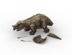 Revell JURASSIC WORLD DOMINION - TRICERATOPS -Magasin De Jouets Intelligent 8e5f7b33c6a83cfef19daf47e5e634f121269336 41062972 03