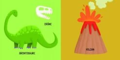 Q-BOX. LES DINOSAURES -Magasin De Jouets Intelligent 9b332403835c147c826e3cadd33488000a645cb7 41031371 05