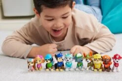 SPIN MASTER PAT' PATROUILLE - MULTIPACK FIGURINES 10E ANNIVERSAIRE -Magasin De Jouets Intelligent ab6d4fffbfaccaaad2848d67241f55e7b00f0e0b 41097285 06