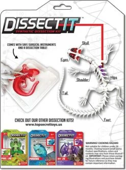 Silverlit DISSECT-IT - SALAMANDRE SLIME A DISSEQUER -Magasin De Jouets Intelligent aba2a57397f47590e49a200f30b4aba59c962b45 41053781 03