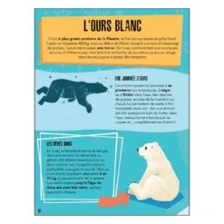 PUZZLE LA PLANETE EN DANGER 220 PIECES + LIVRE - LES GLACES 7 PUZZLE LA PLANETE EN DANGER 220 PIECES + LIVRE - LES GLACES -Magasin De Jouets Intelligent b26c4932e856b636fb4567d466a743c0fb85a3b0 04082475 04