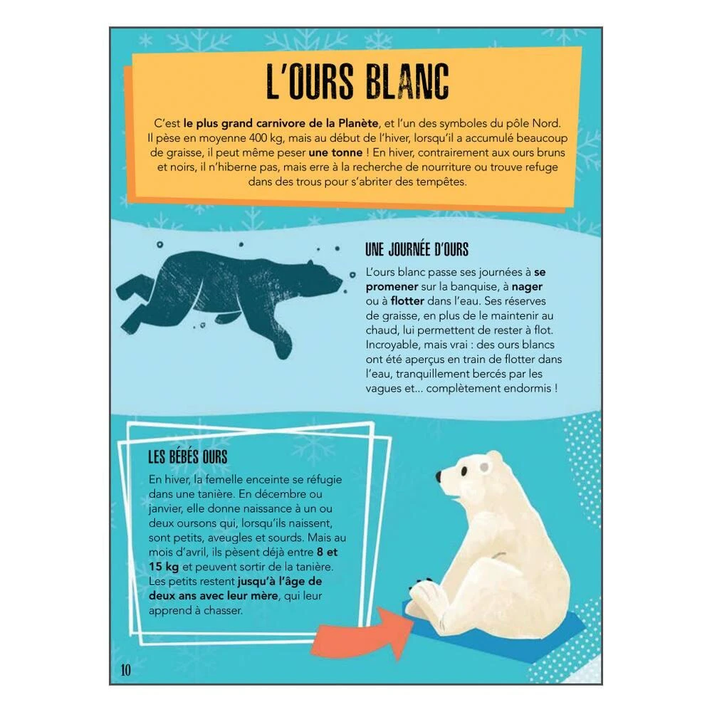 PUZZLE LA PLANETE EN DANGER 220 PIECES + LIVRE - LES GLACES 4 PUZZLE LA PLANETE EN DANGER 220 PIECES + LIVRE - LES GLACES – Image 4