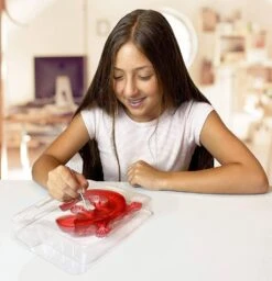 Silverlit DISSECT-IT - SALAMANDRE SLIME A DISSEQUER -Magasin De Jouets Intelligent e24ade6ceb44797f9852dd77af5cd418b8aa4edd 41053781 04