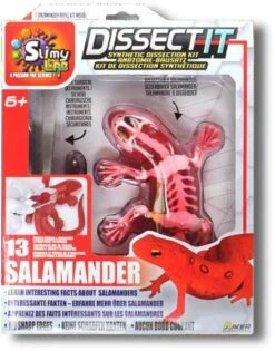 Silverlit DISSECT-IT - SALAMANDRE SLIME A DISSEQUER -Magasin De Jouets Intelligent e3952b4f8db482c47d60fbec9e1ca36ff8c69b81 41053781 05