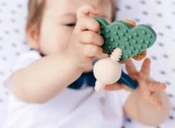 PAUL - LE HOCHET -Magasin De Jouets Intelligent ed8b8e0ca2ffe1063de9ea9324b136d758af7fef 41067034 06