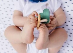 PAUL - LE HOCHET -Magasin De Jouets Intelligent f0d6dcd0c5e0ff2a2d471c5892e6b864b8394678 41067034 05