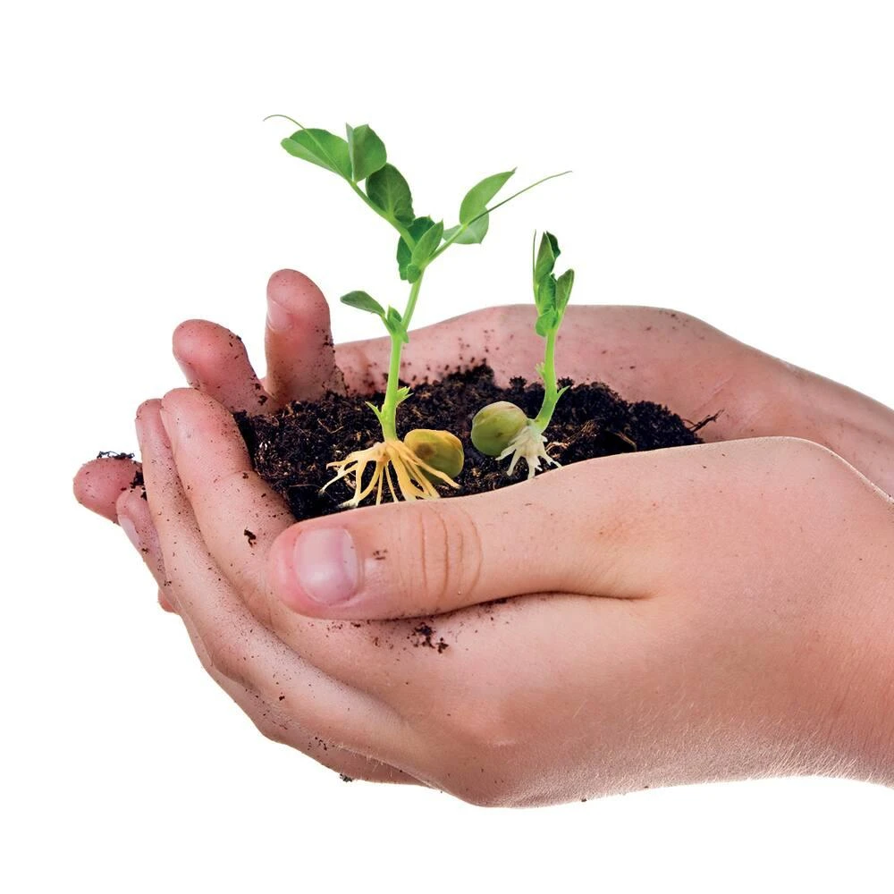 Clementoni LA BIOSPHERE 2 Clementoni LA BIOSPHERE – Image 2